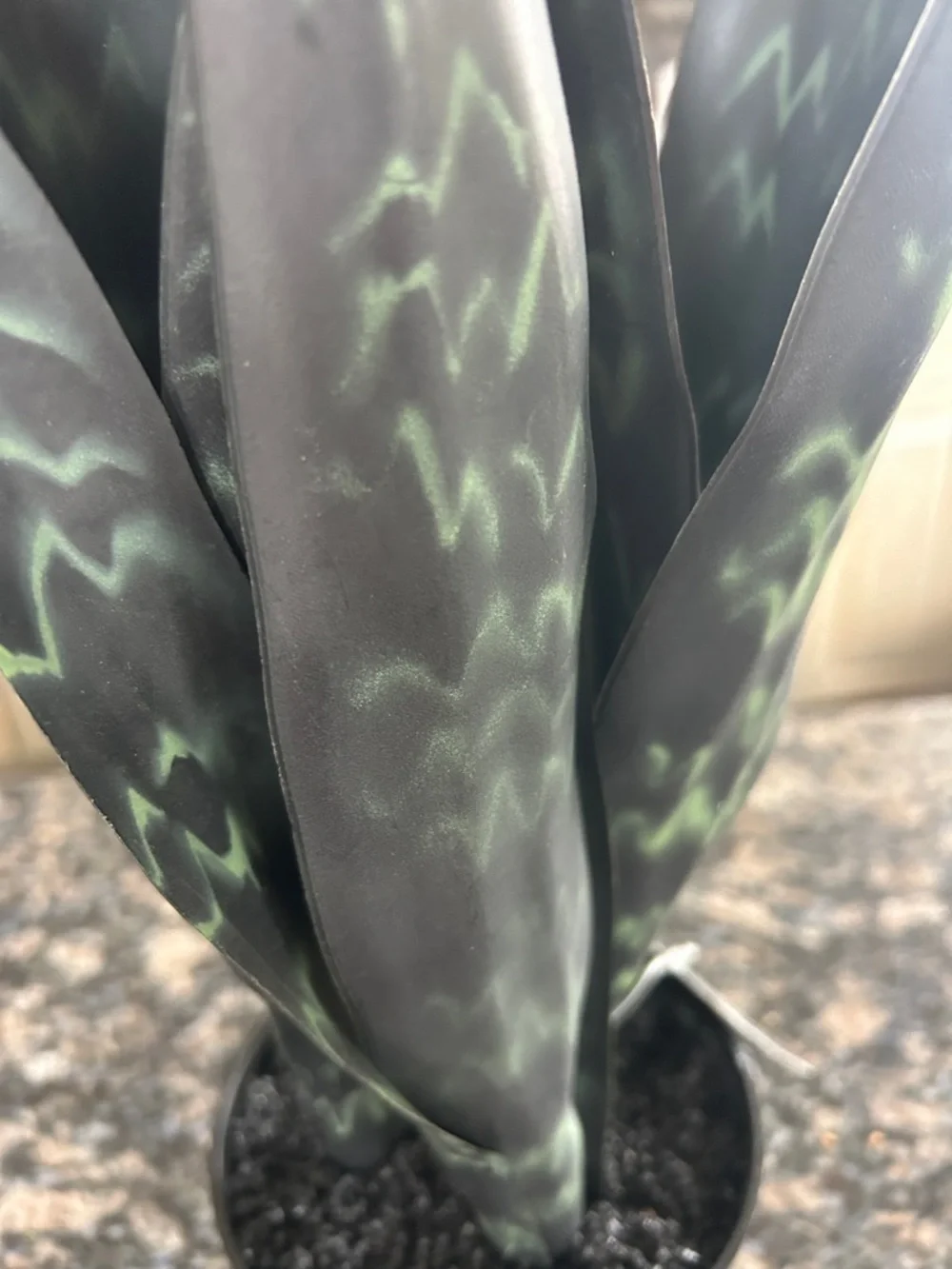 ASHLAND FAUX PREMADE SANSEVIERIA PLANT W DARK AND LIGHT GREEN LEAVES NWT